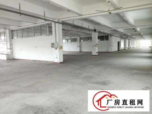  出租龙岗区横岗独院厂房，消防喷淋，3吨电梯