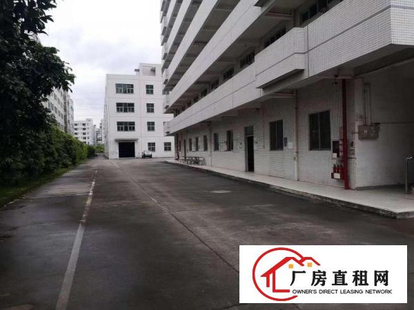  出租龙岗区横岗独院厂房，消防喷淋，3吨电梯