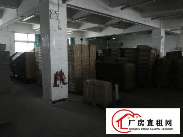  荷坳地铁口1000米，一楼850平标准厂房