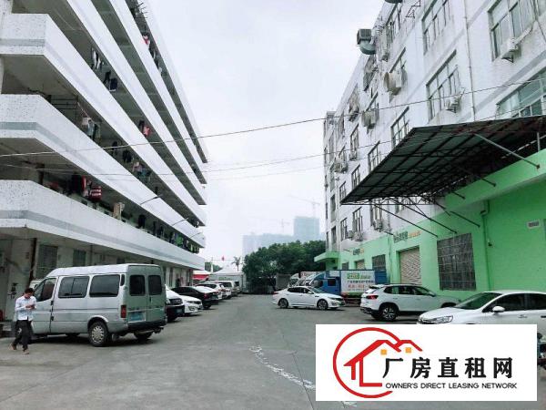  横岗安良大康400平厂房出租_原房东_装修好_价格实惠