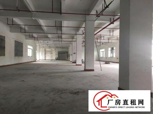  龙岗区横岗安良250平方厂房仓库招租