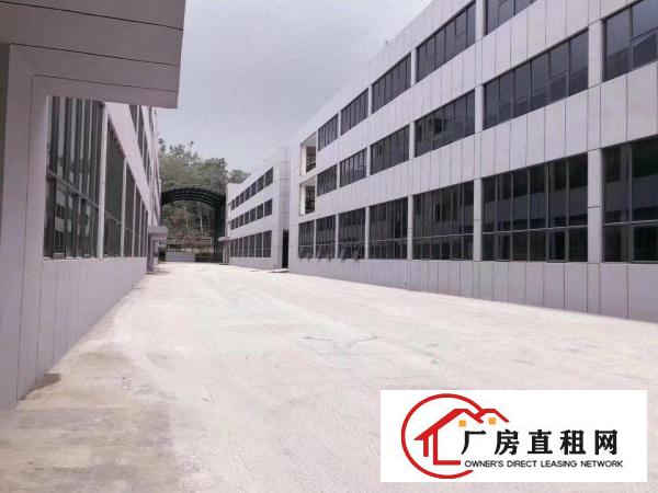  龙岗区高新产业园2900平方厂房办公仓库出租，带红本
