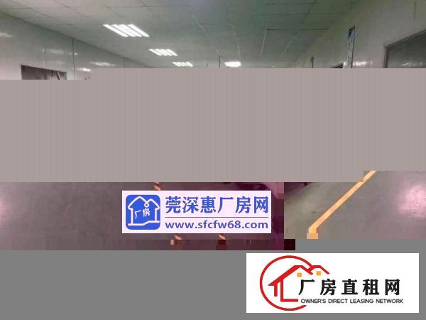  横岗500平方厂房仓库办公出租