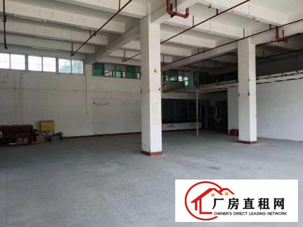  只要16元一平方，横岗标准厂房仓库出租1100平方。