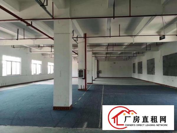  只要16元一平方，横岗标准厂房仓库出租1100平方。
