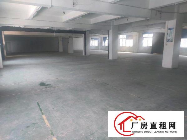  只要16元一平方，横岗标准厂房仓库出租1100平方。