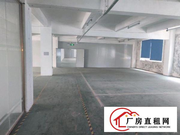  只要16元一平方，横岗标准厂房仓库出租1100平方。