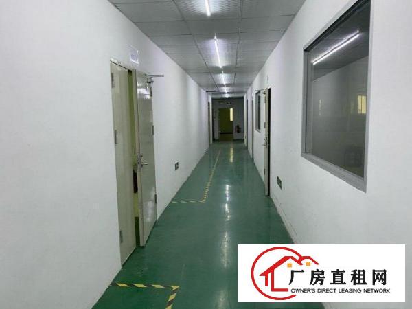  横岗原房东无公摊带装修二楼1300平方现成无尘车间