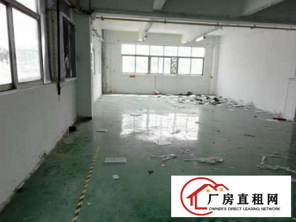  横岗华乐社区一手房东，一楼厂房450平出租