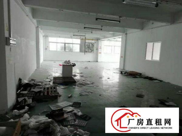  横岗华乐社区一手房东，一楼厂房450平出租