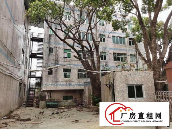  安良原房东（一手房东）小独院厂房出租4300平