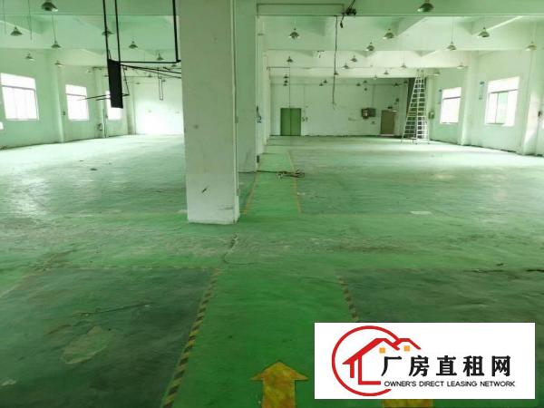  安良原房东（一手房东）小独院厂房出租4300平
