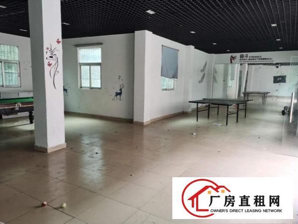  安良原房东（一手房东）小独院厂房出租4300平
