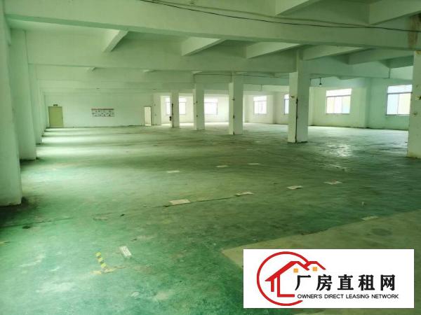  安良原房东（一手房东）小独院厂房出租4300平