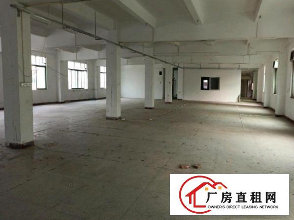 出租龙岗区横岗四联带精装修三楼整层1100平方村委厂房红本