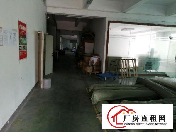  西坑路口安良路1号一楼厂房房东直租