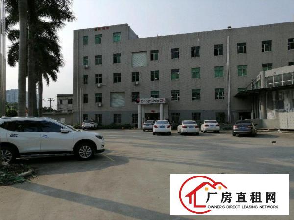  西坑路口安良路1号一楼厂房房东直租