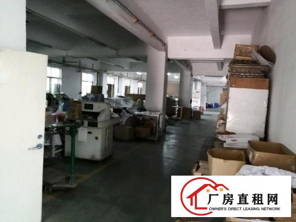  西坑路口安良路1号一楼厂房房东直租