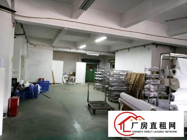  西坑路口安良路1号一楼厂房房东直租