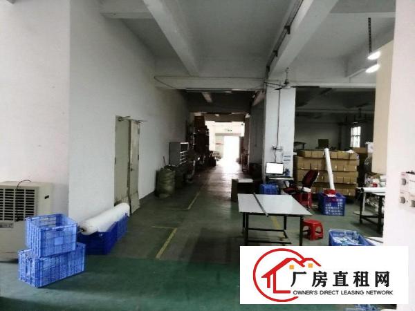  西坑路口安良路1号一楼厂房房东直租