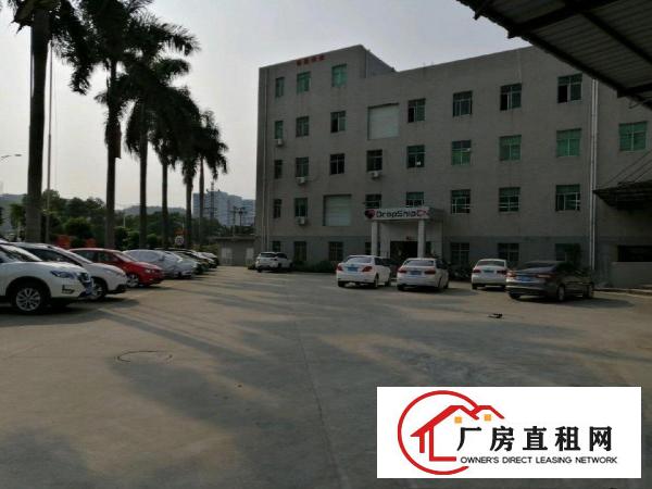  西坑路口安良路1号一楼厂房房东直租