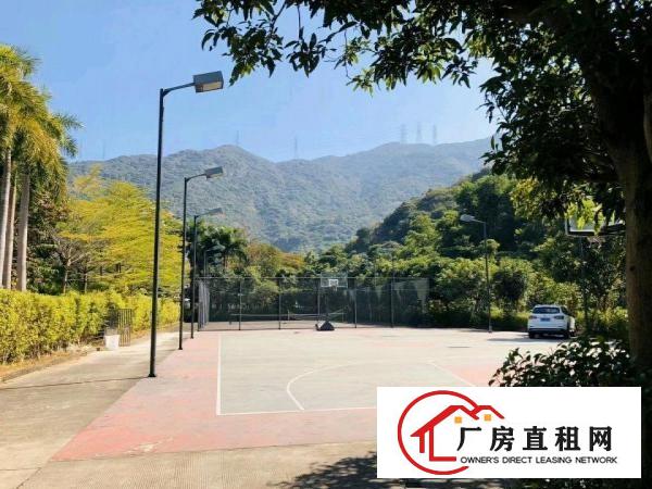  养老院，月子中心，教育培训，办公基地：