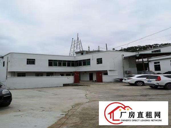  横岗深坑2000平米6米一楼出租