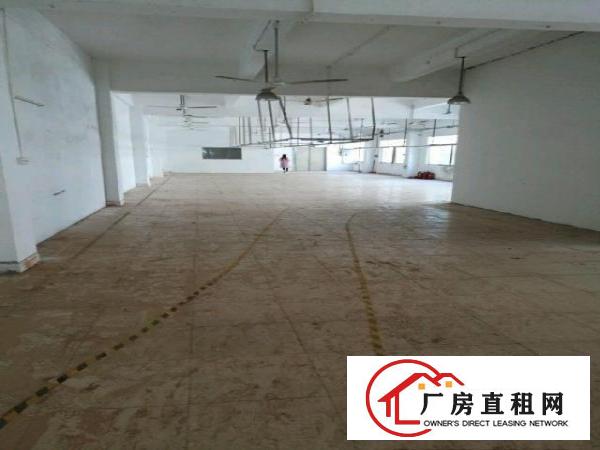  横岗安良550平米原房东厂房低价出租