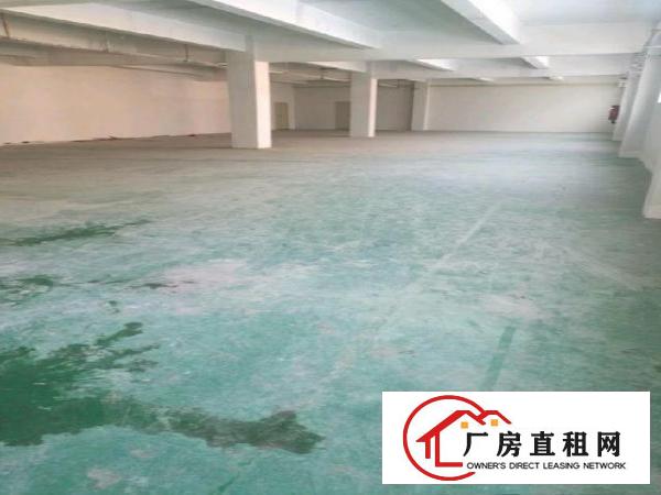  横岗大康750平米原房东厂房低价出租