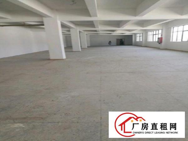  横岗大康750平米原房东厂房低价出租