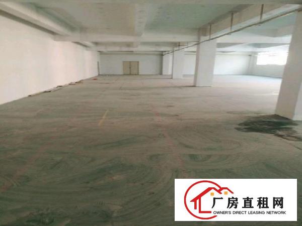  横岗大康750平米原房东厂房低价出租