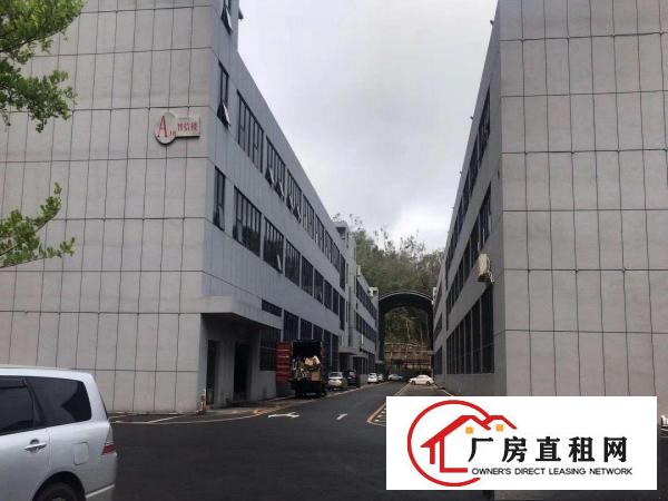  龙岗区横岗高新产业园3600平方出租可分租