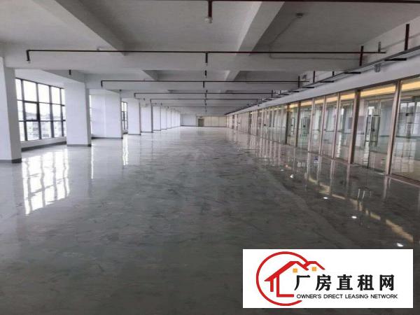  龙岗区横岗高新产业园3600平方出租可分租