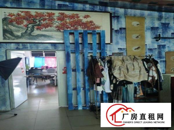  正规工业园，五年不涨租金