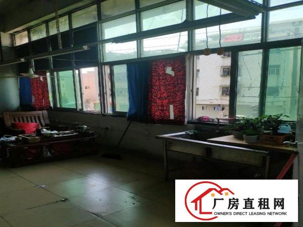  正规工业园，五年不涨租金