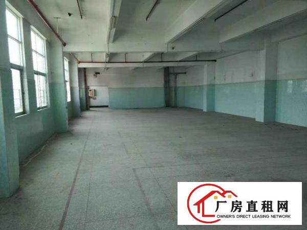  六约全新楼上分租330平方