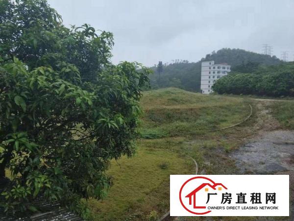  拍摄基地，汽车酒店，花园式独院4680平招租
