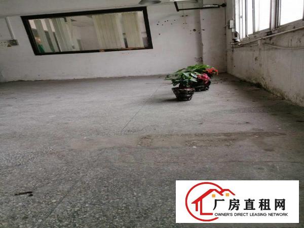  出租龙岗区横岗标准厂房