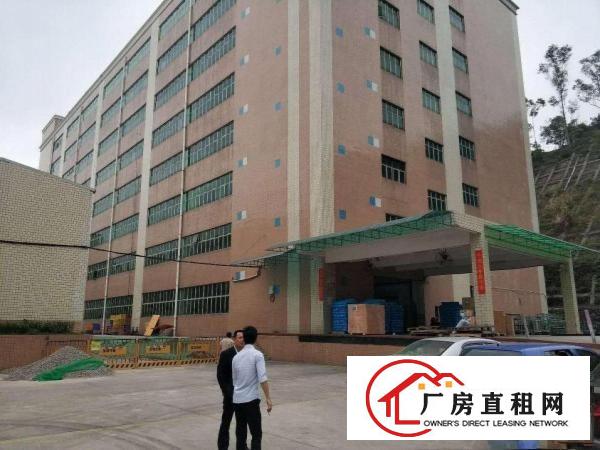  塘坑地铁口有停车位1650平厂房/宿舍/仓库出租