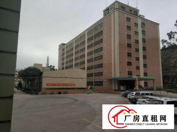  塘坑地铁口有停车位1650平厂房/宿舍/仓库出租