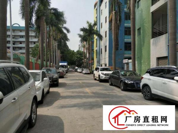  大康路600平米一楼招租，空地超大，适合各种生产和仓库客户