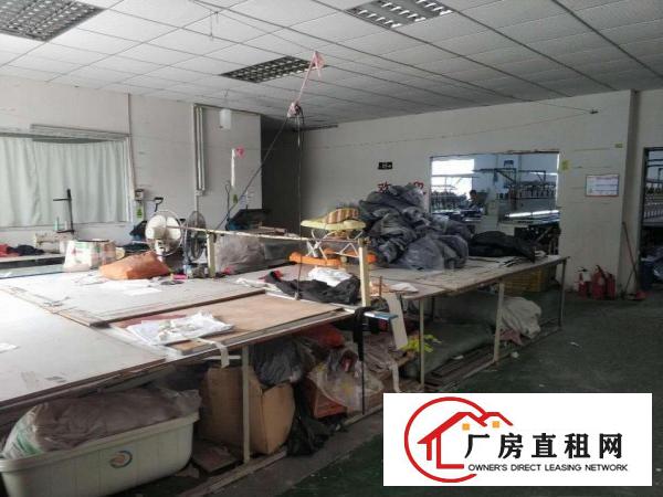  大康路600平米一楼招租，空地超大，适合各种生产和仓库客户