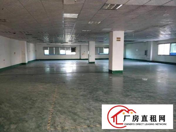  横岗山塘工业区原房东4-5楼各1400平方16元