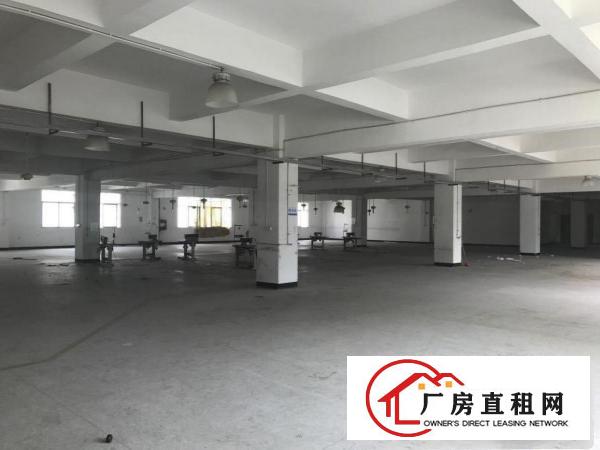  六约麻地街一楼330平方30元仓库出租