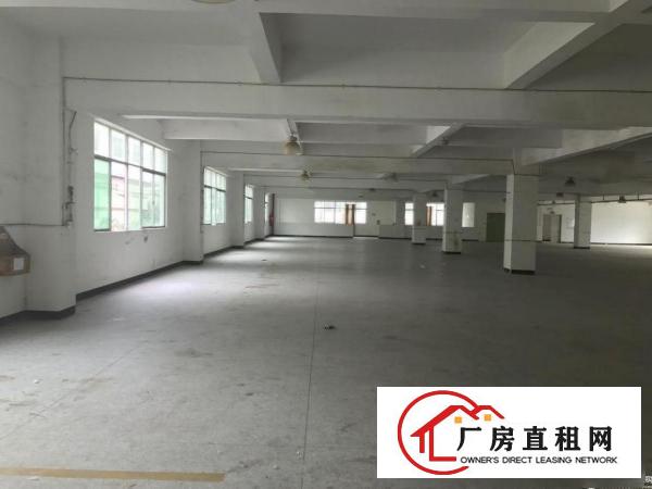  六约麻地街一楼330平方30元仓库出租