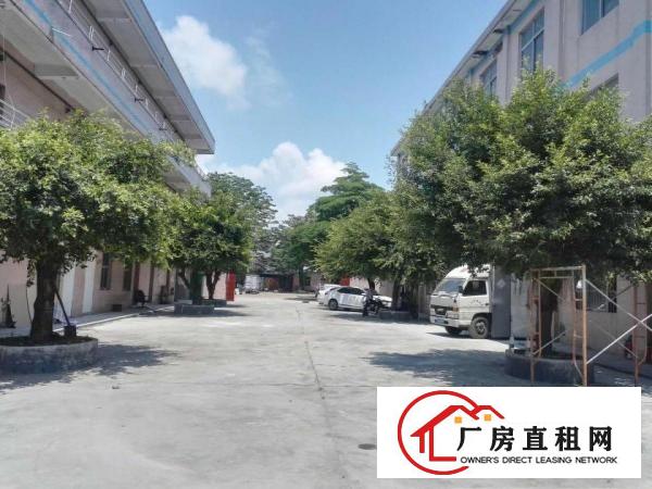  横岗荷坳经典小独院标准厂房三层2800平招租（可分租）
