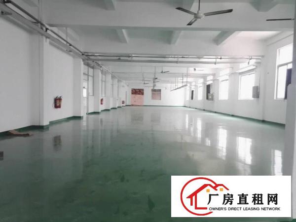  横岗荷坳经典小独院标准厂房三层2800平招租（可分租）