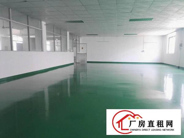  横岗荷坳经典小独院标准厂房三层2800平招租（可分租）
