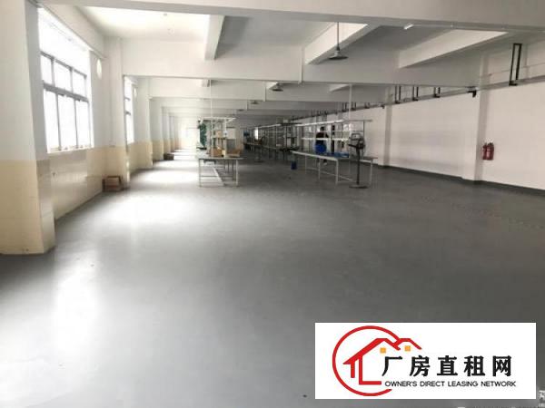  横岗力嘉路2楼500平方精装修办公展厅
