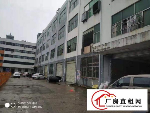  横岗四联地坪漆装修厂房1125平 2250平价格好谈